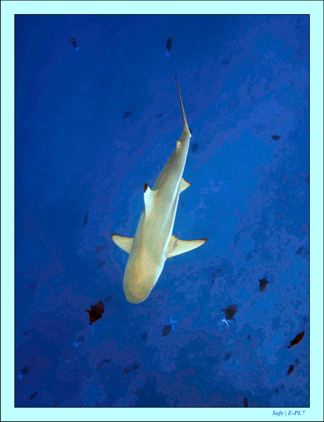 2023 - 07 - Sandies Bathala - 164